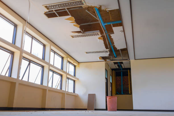 Best Mold removal after water damage  in , ND