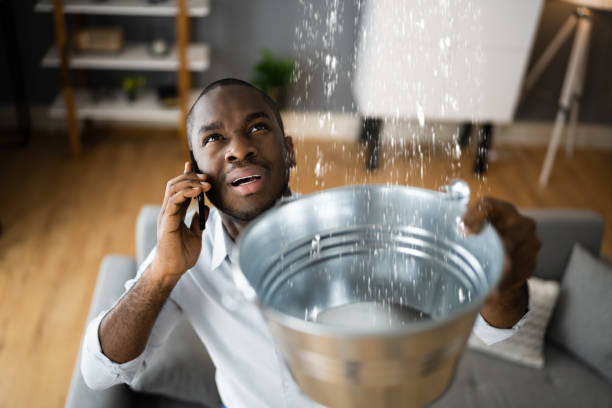 Best Water damage repair service  in , ND