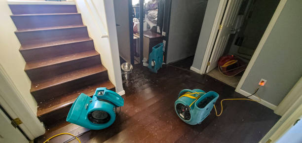 Best Carpet water damage restoration  in , ND