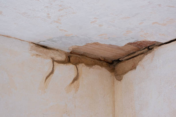 Best Ceiling water damage repair  in , ND