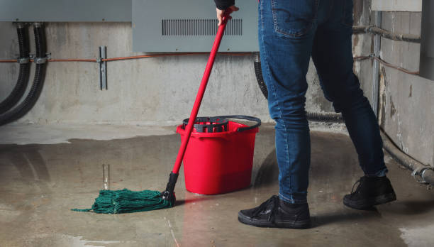 Best Sewage cleanup and water damage restoration  in , ND