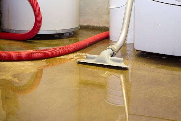 Best 24/7 water damage repair  in , ND